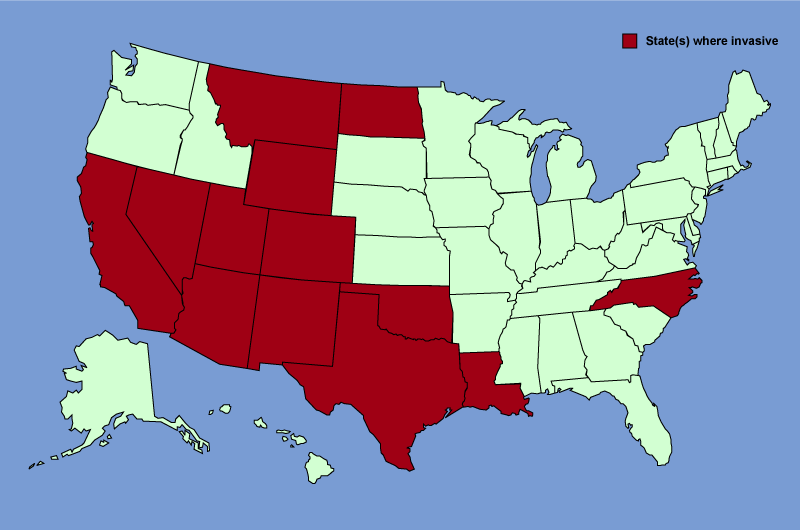 Distribution map of Tamarix ramosissima